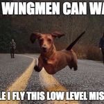 Dachshunds can fly! | MY WINGMEN CAN WALK WHILE I FLY THIS LOW LEVEL MISSION | image tagged in dachshunds can fly | made w/ Imgflip meme maker