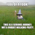 Fool of a Took | FOOL OF A TOOK! THIS IS A SERIOUS JOURNEY, NOT A HOBBIT WALKING-PARTY. | image tagged in pugdalf,memes | made w/ Imgflip meme maker