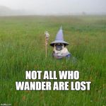 Not all who wander are lost | NOT ALL WHO WANDER ARE LOST | image tagged in pugdalf,memes | made w/ Imgflip meme maker
