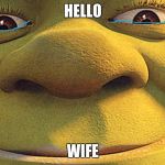 Shrekt | HELLO WIFE | image tagged in shrekt | made w/ Imgflip meme maker