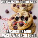 Punny Cookies | WHY WAS THE COOKIE SAD? BECAUSE IS MOM WAS A WAFER SO LONG! | image tagged in punny cookies | made w/ Imgflip meme maker