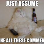 lazycat | JUST ASSUME I LIKE ALL THESE COMMENTS | image tagged in lazycat | made w/ Imgflip meme maker