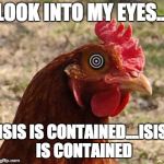 YOLO Chicken | LOOK INTO MY EYES... ISIS IS CONTAINED....ISIS IS CONTAINED | image tagged in yolo chicken | made w/ Imgflip meme maker