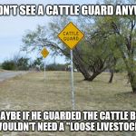 Cattle Guard | WE DIDN'T SEE A CATTLE GUARD ANYWHERE BUT MAYBE IF HE GUARDED THE CATTLE BETTER, THEY WOULDN'T NEED A "LOOSE LIVESTOCK" SIGN | image tagged in cattle guard | made w/ Imgflip meme maker