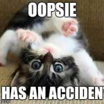 kitten fall | OOPSIE I HAS AN ACCIDENT | image tagged in kitten fall | made w/ Imgflip meme maker