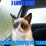 Introspective Grumpy Cat | I LOVE RAIN IT BRINS PEOPLE TO TEARS | image tagged in introspective grumpy cat | made w/ Imgflip meme maker