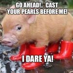 Pig In Boots | GO AHEAD!..  CAST YOUR PEARLS BEFORE ME! I DARE YA! | image tagged in pig in boots | made w/ Imgflip meme maker