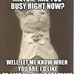 Aristocat | MILTON, ARE YOU BUSY RIGHT NOW? WELL, LET ME KNOW WHEN YOU ARE, I'D LIKE TO HAVE MY CHIN SCRATCHED | image tagged in aristocat | made w/ Imgflip meme maker