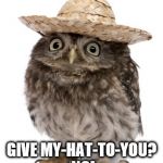 Hatisfaction guaranteed | GIVE MY-HAT-TO-YOU? NO! | image tagged in sombrero owl,owls,hat | made w/ Imgflip meme maker