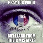 Use Your Hearts AND Your Minds People | PRAY FOR PARIS BUT LEARN FROM THEIR MISTAKES | image tagged in prayers for paris,terrorism,think | made w/ Imgflip meme maker