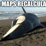 This was my friends idea, he gave me permission to use it. | BING MAPS RECALCULATING | image tagged in whale,bing maps | made w/ Imgflip meme maker