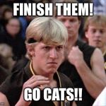 Karate Kid Johnny | FINISH THEM! GO CATS!! | image tagged in karate kid johnny | made w/ Imgflip meme maker