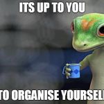 I just saved a ton of money by switching to DIY juice | ITS UP TO YOU TO ORGANISE YOURSELF | image tagged in i just saved a ton of money by switching to diy juice | made w/ Imgflip meme maker