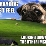 This is NOT actually how he feels, but I like this template too much as to not submit it. | LOOKING DOWN AT ALL THE OTHER IMGFLIPPERS HOW RAYDOG MUST FEEL | image tagged in pug windows hill | made w/ Imgflip meme maker