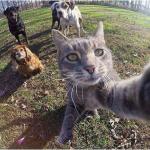 Taking selfies with the squad meme