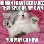 kitten sleeping | HUMAN I HAVE DECLARED THIS SPOT AS MY OWN YOU MAY GO NOW | image tagged in kitten sleeping | made w/ Imgflip meme maker