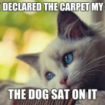 Sad Kitten | I HAD DECLARED THE CARPET MY SPOT THE DOG SAT ON IT | image tagged in sad kitten | made w/ Imgflip meme maker