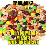Trail Mix | TRAIL MIX? OH, YOU MEAN M & M'S WITH OBSTACLES | image tagged in trail mix | made w/ Imgflip meme maker