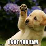 Hello Puppy | I GOT YOU FAM | image tagged in hello puppy | made w/ Imgflip meme maker