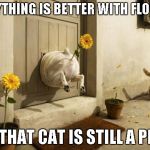 Dog Vs Cat....the battle continues | EVERYTHING IS BETTER WITH FLOWERS BUT THAT CAT IS STILL A PRICK | image tagged in dog vs cat,funny animals,funny,dog,cat | made w/ Imgflip meme maker