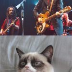 Grumpy Cat's reaction to the song free fallin' | I'M FREE, FREE FALLIN' KEEP, KEEP FALLIN' | image tagged in free fallin' grumpy cat | made w/ Imgflip meme maker