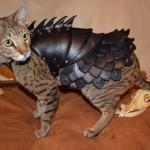 cat armor