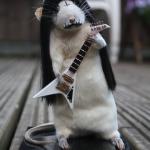 black metal rat