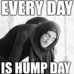 yes master | EVERY DAY IS HUMP DAY | image tagged in hump day | made w/ Imgflip meme maker