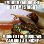 Slow Ride  | I'M IN THE MOODTHE RHYTHM IS RIGHT MOVE TO THE MUSICWE CAN ROLL ALL NIGHT | image tagged in snail on a turtle,memes,meme | made w/ Imgflip meme maker