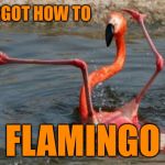 Flamingo Fail | I FORGOT HOW TO FLAMINGO | image tagged in flamingo fail | made w/ Imgflip meme maker