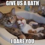 cats in sink | GIVE US A BATH I DARE YOU | image tagged in cats in sink | made w/ Imgflip meme maker