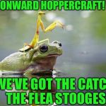 Mantis rides again! | ONWARD HOPPERCRAFT! WE'VE GOT THE CATCH THE FLEA STOOGES | image tagged in mantis on kermit,memes,praying mantis | made w/ Imgflip meme maker