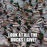 Look at All the Ducks I Give! | LOOK AT ALL THE DUCKS I GIVE! | image tagged in ducks i give,i don't give a duck,ask me if i give a duck | made w/ Imgflip meme maker