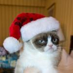 Grumpy Cat Christmas Hat