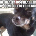 Skeptical Chihuahua | DID I REALLY JUST HEAR THAT CRAP COME OUT OF YOUR MOUTH | image tagged in skeptical chihuahua | made w/ Imgflip meme maker