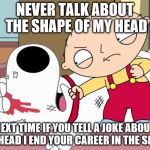 Family guy | NEVER TALK ABOUT THE SHAPE OF MY HEAD NEXT TIME IF YOU TELL A JOKE ABOUT MY HEAD I END YOUR CAREER IN THE SHOW | image tagged in family guy | made w/ Imgflip meme maker