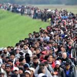 muslim-welfare-migrants