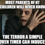 Fact Fear Fester | MOST PARENTS OF NT CHILDREN WILL NEVER KNOW THE TERROR A SIMPLE OVEN TIMER CAN INDUCE! | image tagged in fact fear fester | made w/ Imgflip meme maker