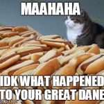 Too many hot dogs | MAAHAHA IDK WHAT HAPPENED TO YOUR GREAT DANE | image tagged in too many hot dogs | made w/ Imgflip meme maker