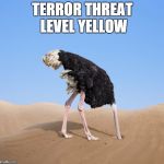 Ostrich | TERROR THREAT LEVEL YELLOW | image tagged in ostrich | made w/ Imgflip meme maker