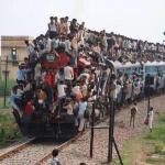 PanthersBandwagon