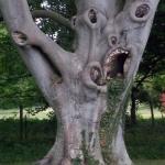Scary Tree meme