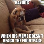 sad dog | RAYDOG WHEN HIS MEME DOESN'T REACH THE FRONTPAGE | image tagged in sad dog | made w/ Imgflip meme maker