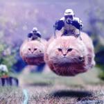 Scout Trooper 74-Z Catspeeder meme