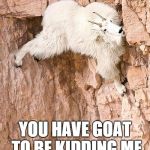 mountain goat | YOU HAVE GOAT TO BE KIDDING ME | image tagged in mountain goat | made w/ Imgflip meme maker