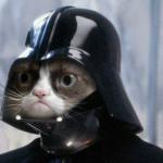 Grumpy Cat Star Wars meme