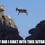 Whatever floats your goat | HOW DID I GOAT INTO THIS SITUATION | image tagged in whatever floats your goat | made w/ Imgflip meme maker