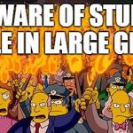 Angry Mob | BEWARE OF STUPID PEOPLE IN LARGE GROUPS | image tagged in angry mob | made w/ Imgflip meme maker