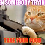 Put the food down | WHEN SOMEBODY TRYING TO TAKE YOUR FOOD | image tagged in put the food down | made w/ Imgflip meme maker