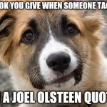 confused dog | THE LOOK YOU GIVE WHEN SOMEONE TAGS YOU IN A JOEL OLSTEEN QUOTE | image tagged in confused dog | made w/ Imgflip meme maker
